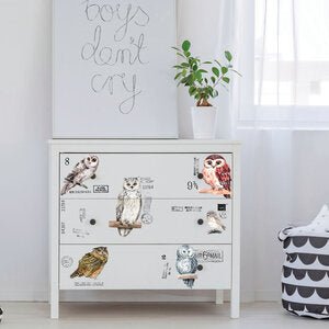 Decor Transfers - Owl - Nordic Chic®