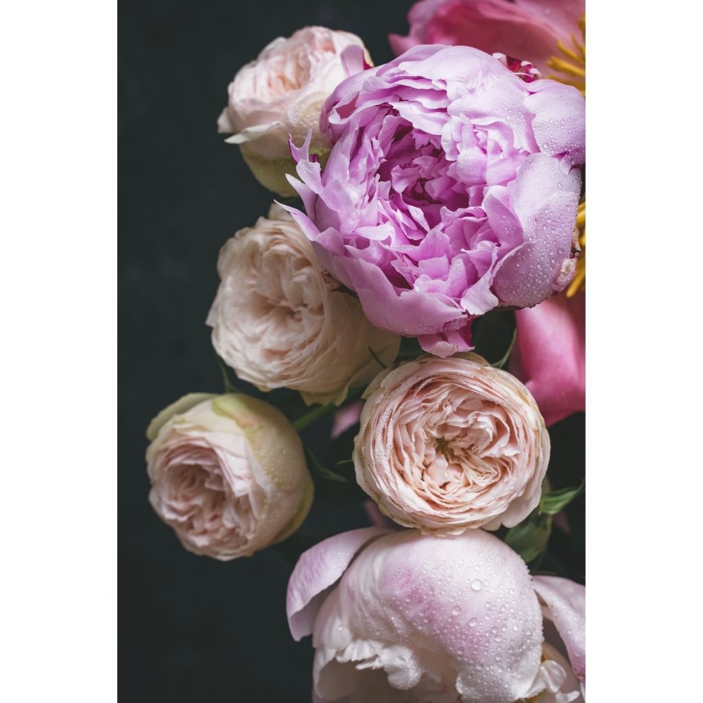 Moody Florals II - Nordic Chic®