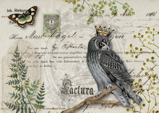 Owl Botanics A3 - Nordic Chic®