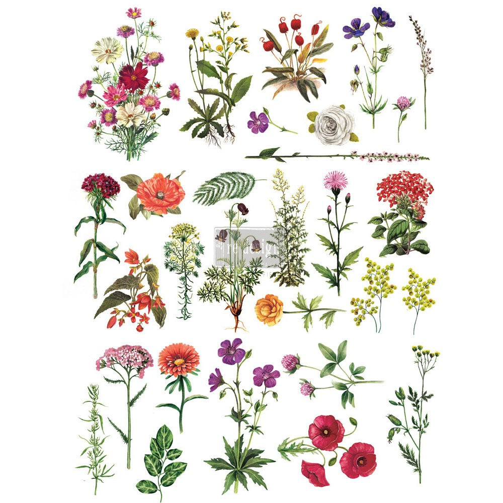 Transfert Prima Redesign - Collection Florale 
