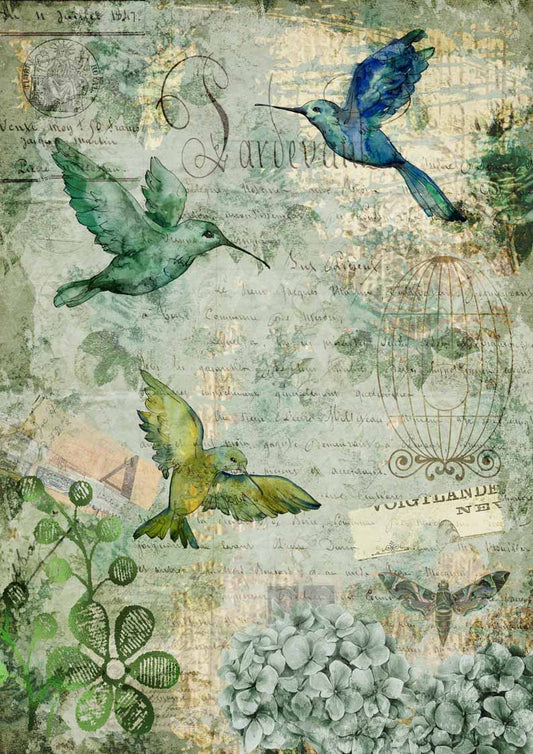 Afternoon Hummingbirds A4 - Nordic Chic®