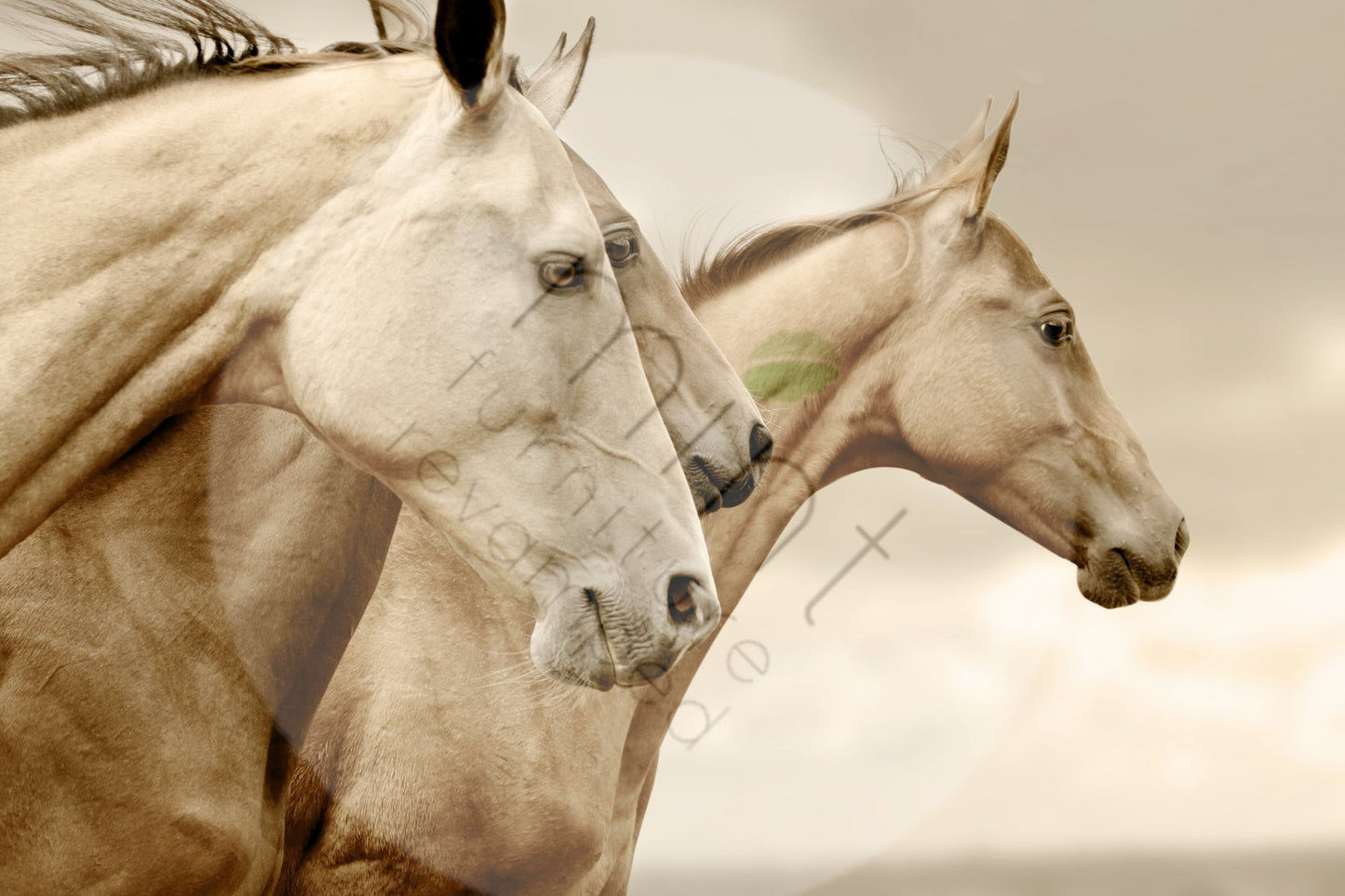 Sepia Horses - Nordic Chic®