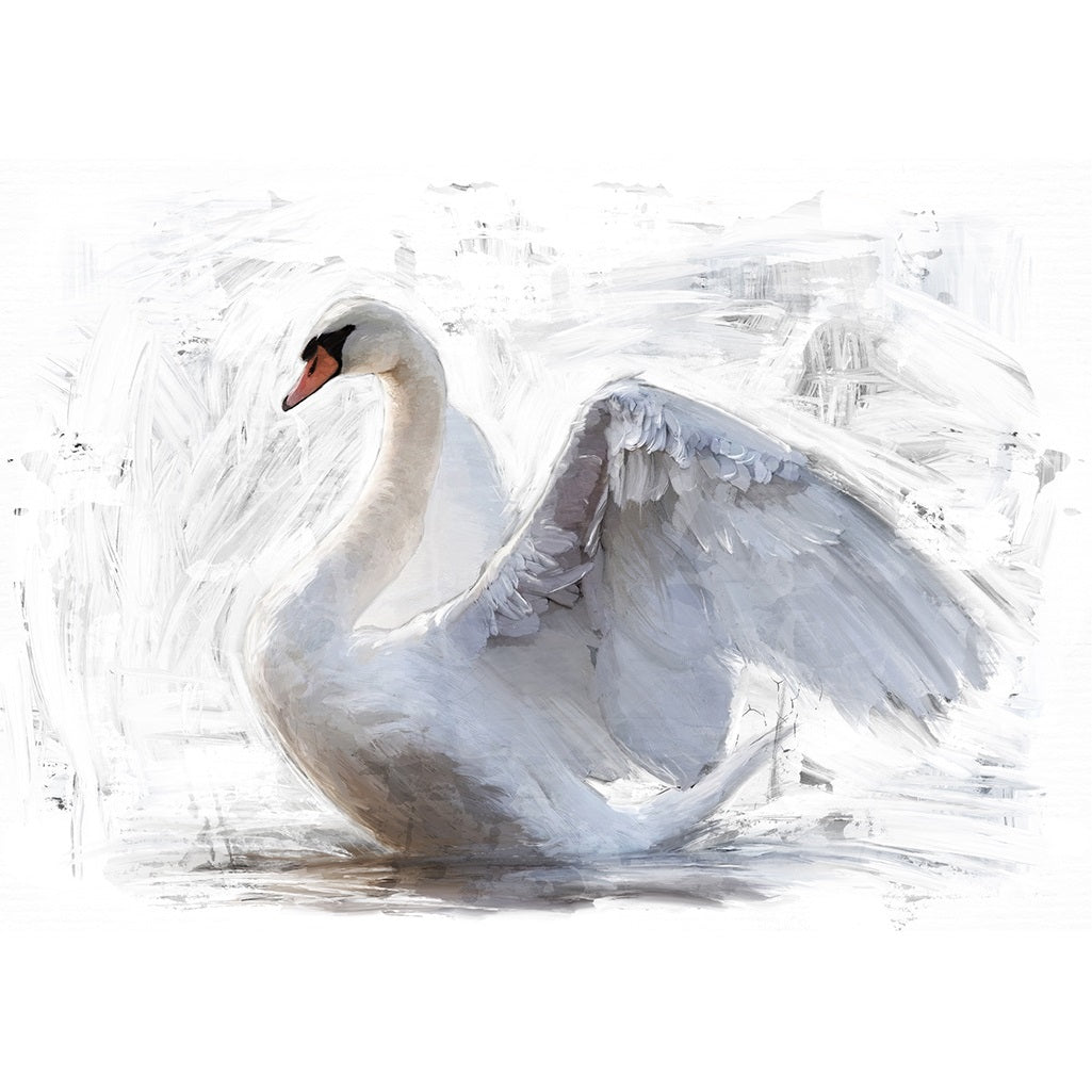 White Swan - Nordic Chic®